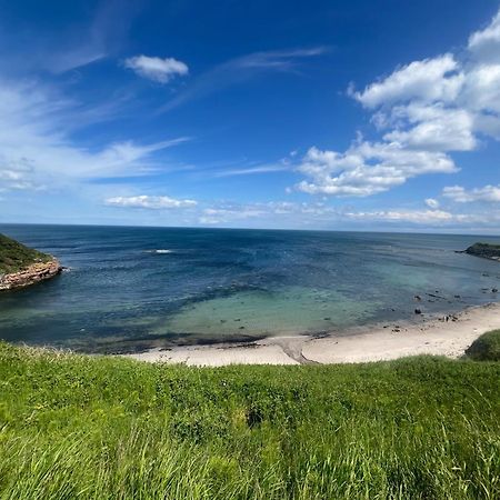 Berwick Holiday Park Haven Buitenkant foto